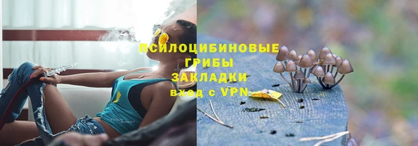 спайс Вяземский
