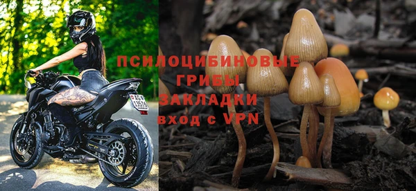 мяу мяу мука Богданович