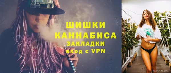 ГАЛЛЮЦИНОГЕННЫЕ ГРИБЫ Вязники