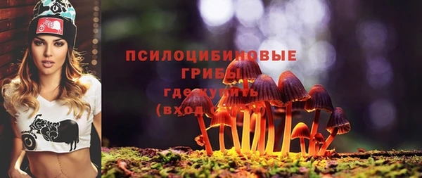 прущие крисы Переславль-Залесский