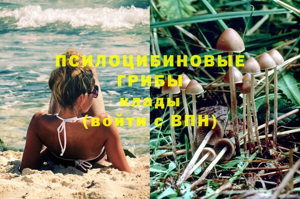 а пвп мука Медногорск