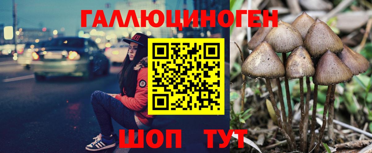 Псилоцибиновые грибы Cubensis  Галлюциногенные грибы Magic Shrooms  что такое   Батайск  Вход с VPN 