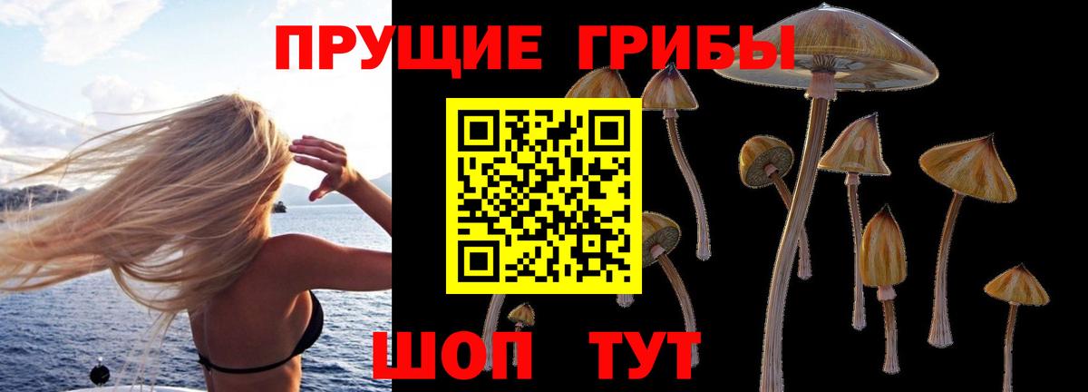 Псилоцибиновые грибы MAGIC MUSHROOMS  Батайск 